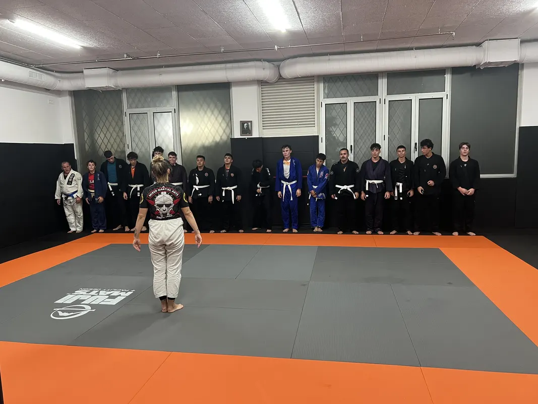 Brazilian Jiu-Jitsu - 1