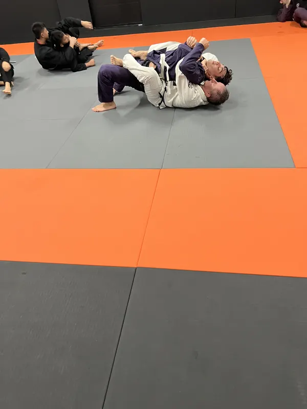 Brazilian Jiu-Jitsu - 2