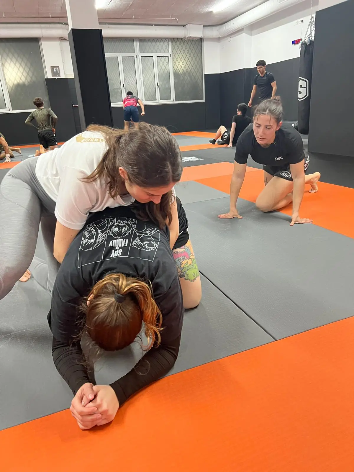 Grappling / Submission Wrestling