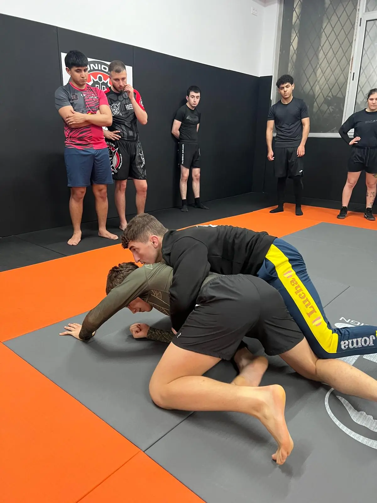 Grappling / Submission Wrestling - 12