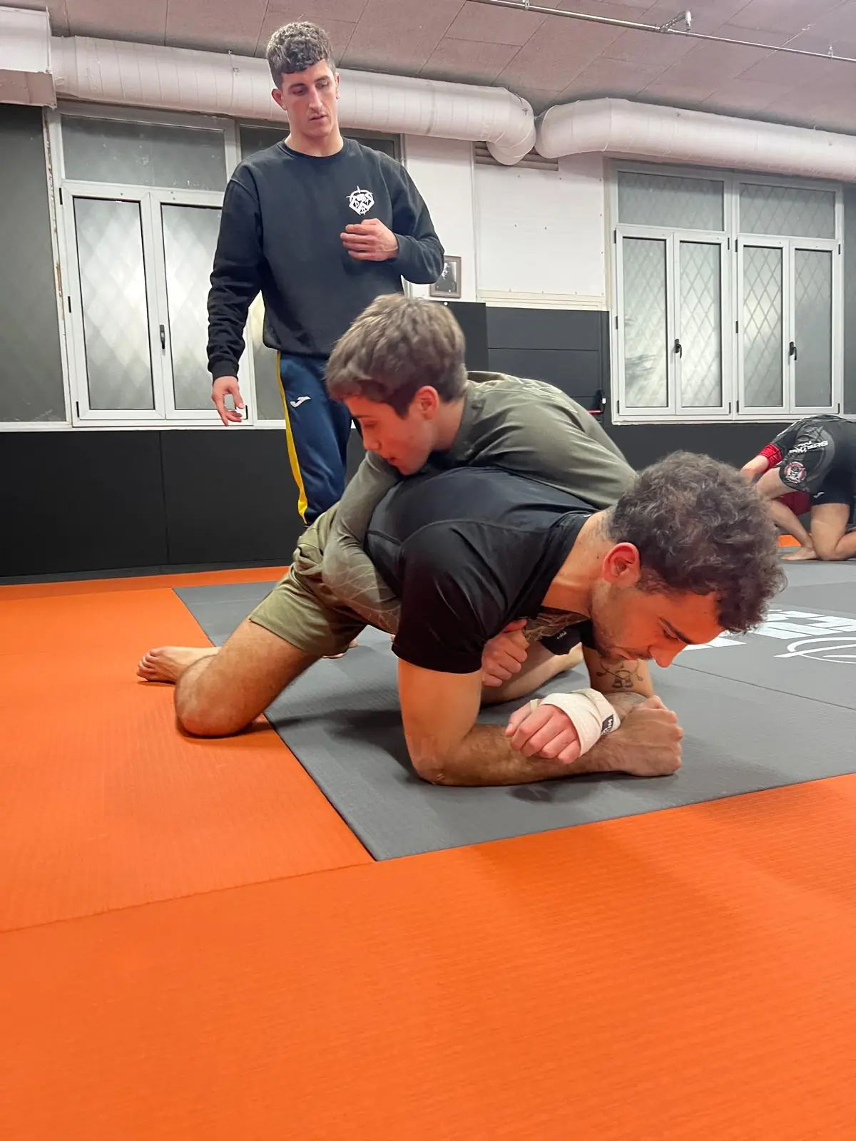 Grappling / Submission Wrestling - 2