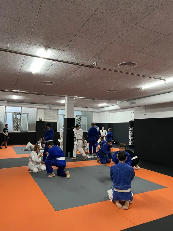 Judo - 1