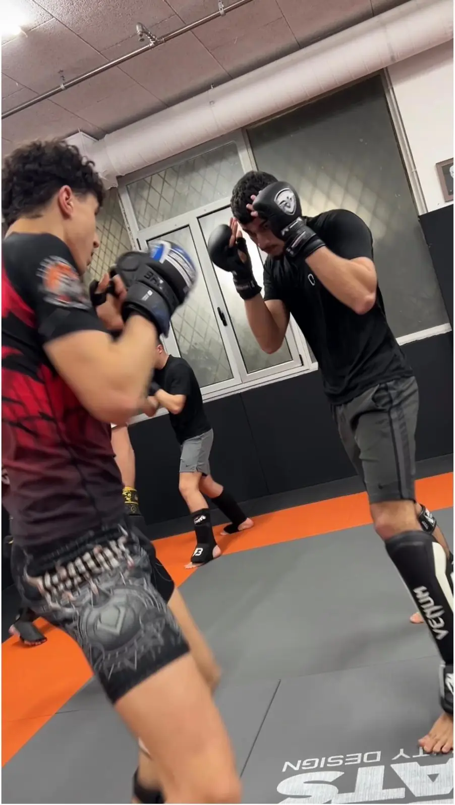 Artes Marciales Mixtas - 10