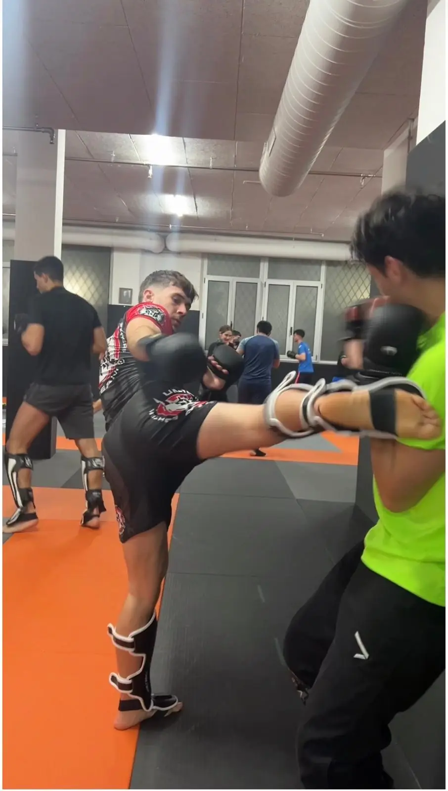 Artes Marciales Mixtas - 8