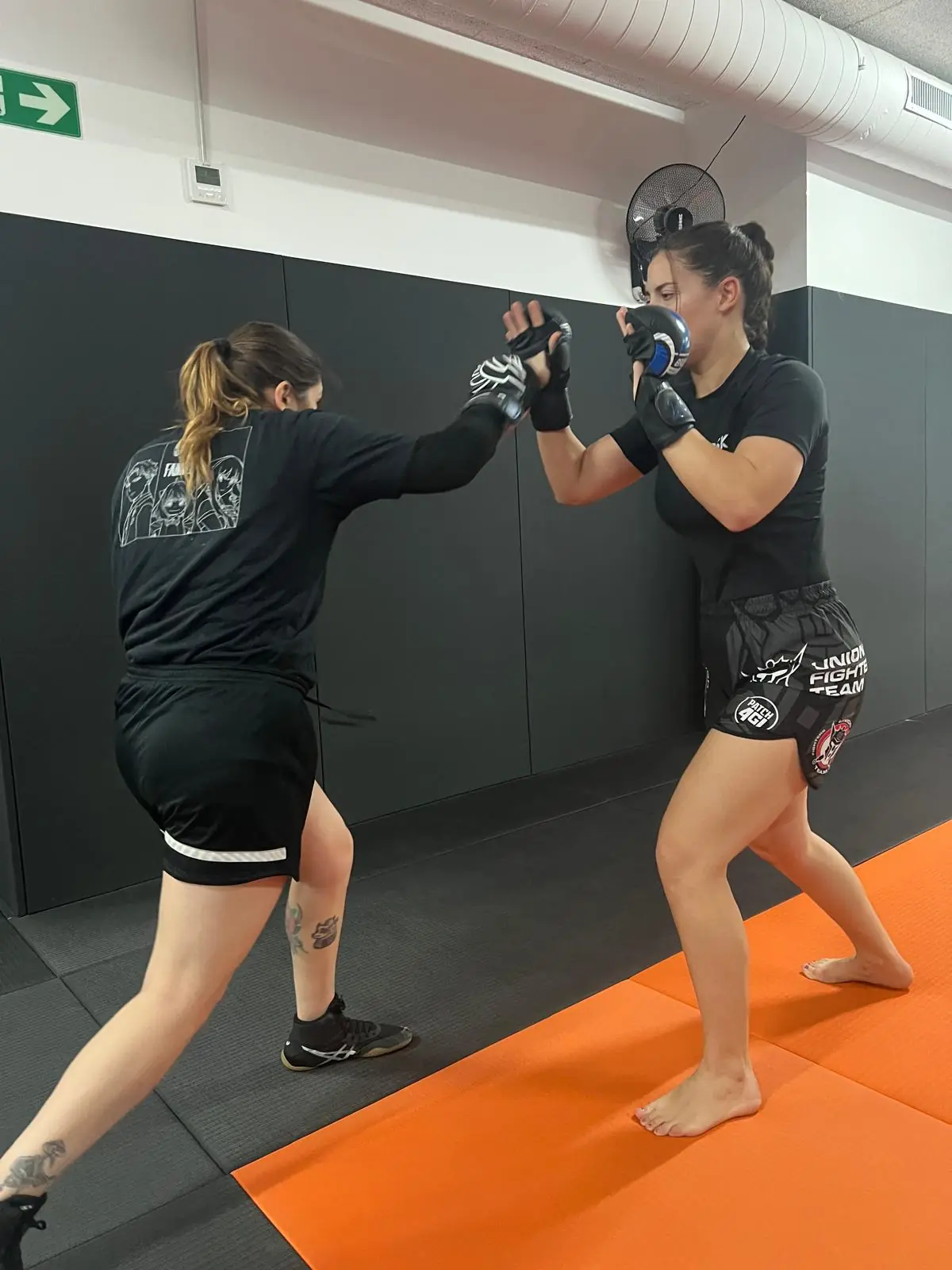 Sambo - 15