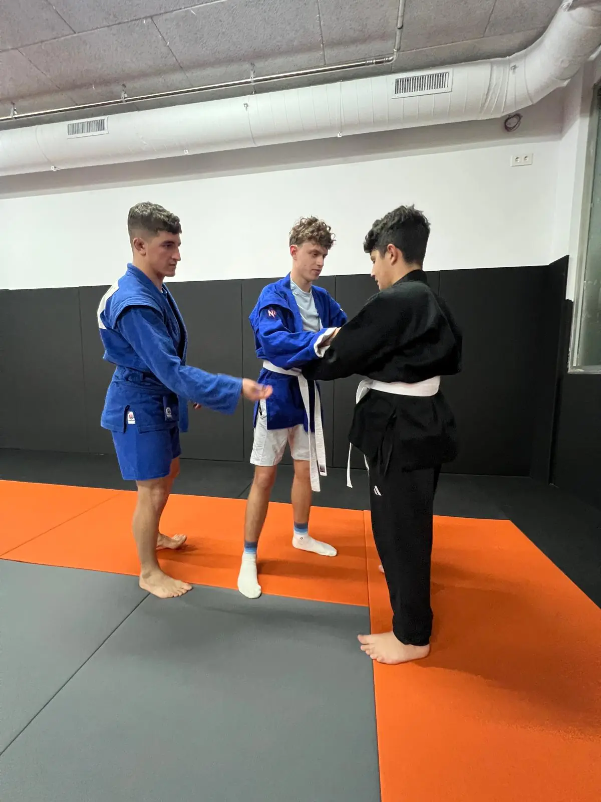 Sambo - 28