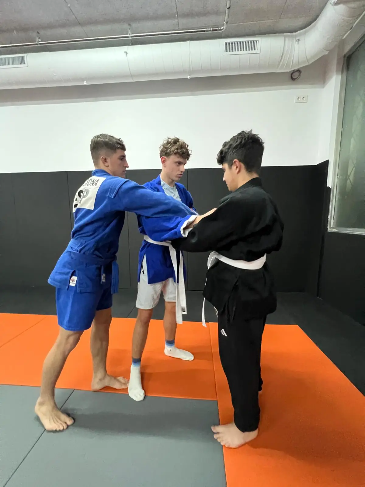 Sambo - 30