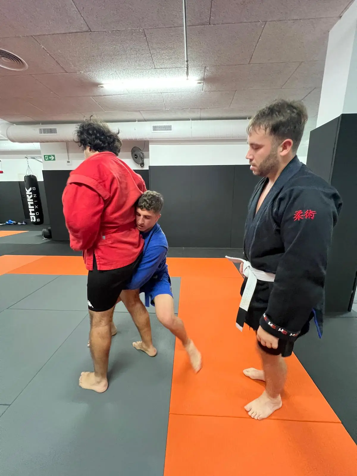 Sambo - 35