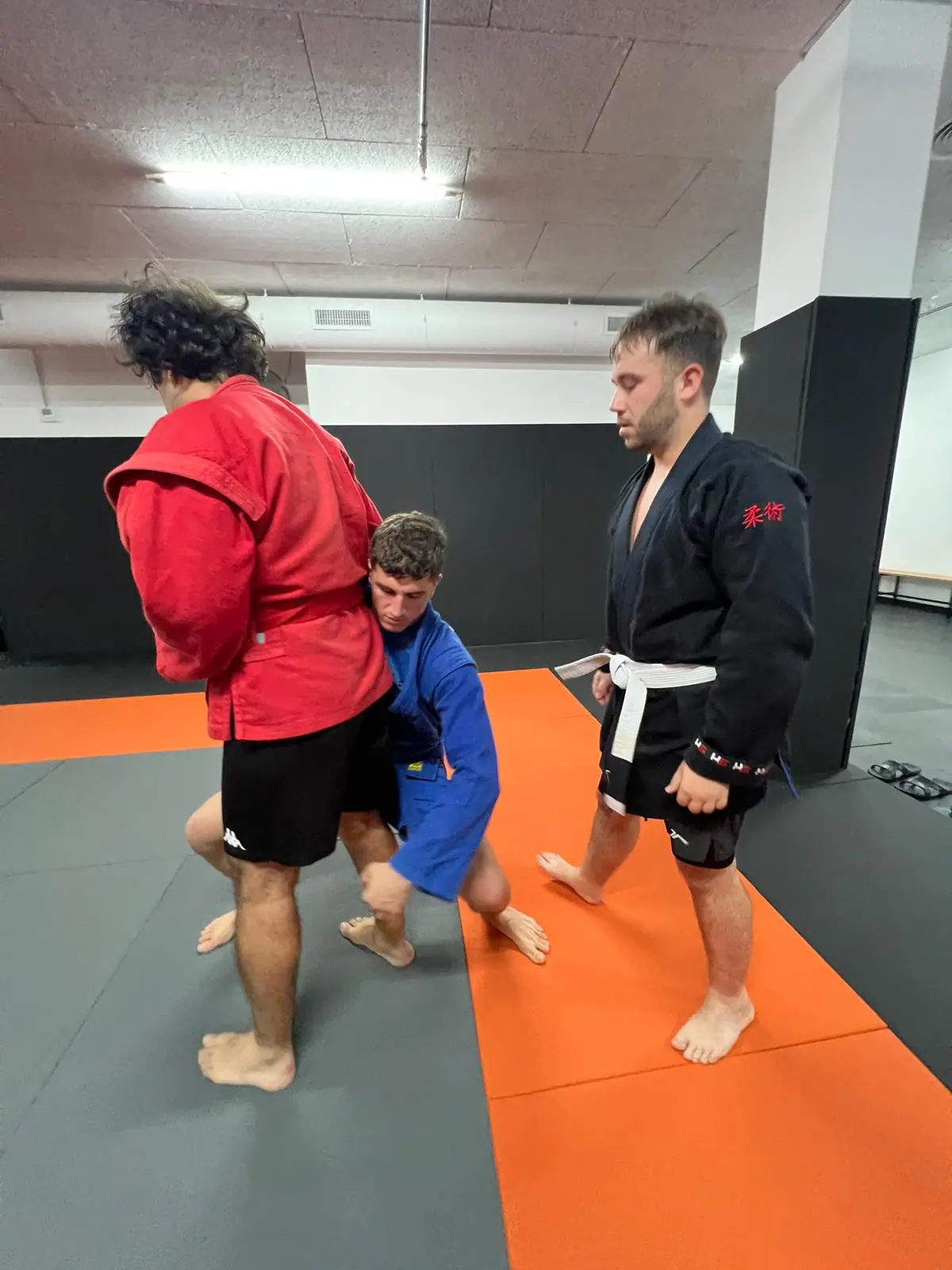 Sambo - 7